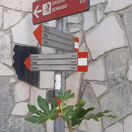 Casina Clelia
